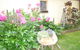 Aggies Bed And Breakfast - thumb 2