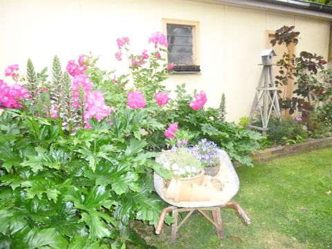Aggies Bed And Breakfast - Maitland Accommodation 2