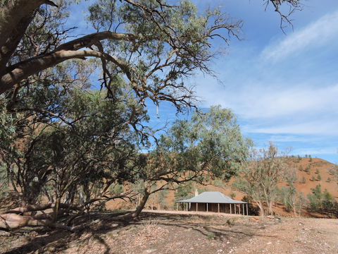 Alpana Station - Maitland Accommodation 6