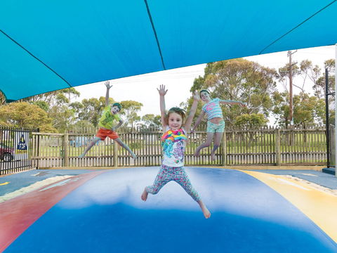 Anchor Belle Holiday Park - Maitland Accommodation 2