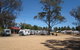 Ariah Park Camping Ground - thumb 2