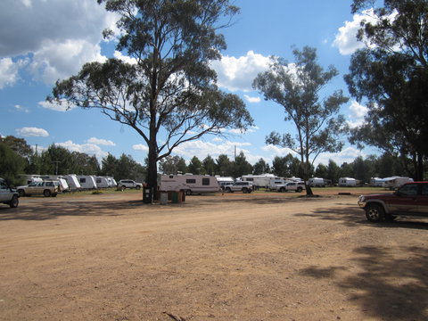 Ariah Park Camping Ground - Maitland Accommodation 4