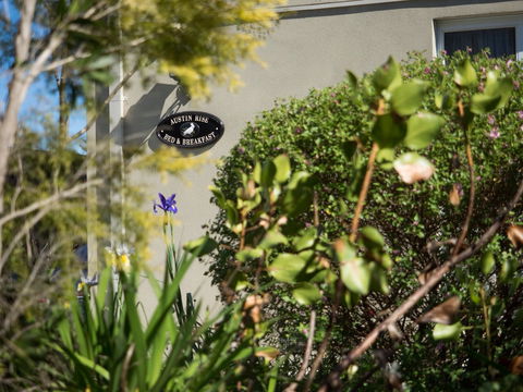 Austin Rise B&B - Maitland Accommodation 1