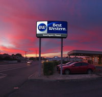Best Western Southgate Motel - Maitland Accommodation