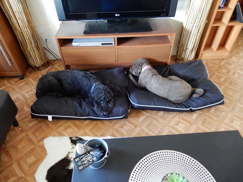 Bootsy's Retreat - Maitland Accommodation 1