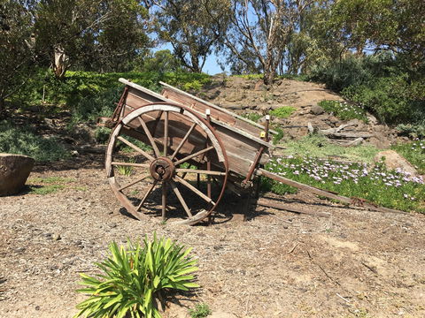 Eldorado Tourist And Residential Park - Maitland Accommodation 5