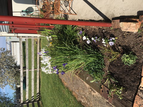 Fairview Bed And Breakfast Cottage - Maitland Accommodation 2