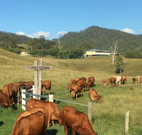 Farringdon Homestead - Maitland Accommodation