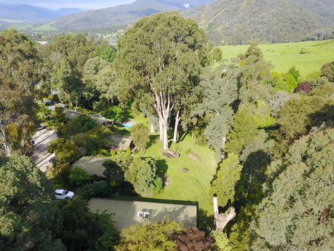 Kiewa Country Cottages - Maitland Accommodation 0