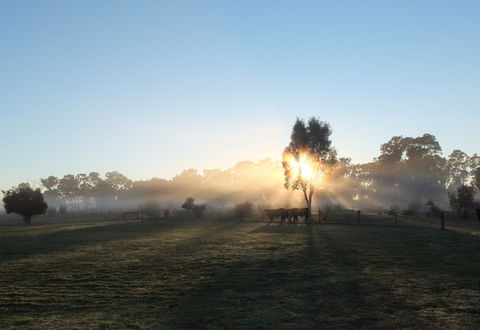 Mackereth's Hedon Farm - Maitland Accommodation 1