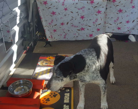 Meeniyan Motel And Bike Hire - Maitland Accommodation 2