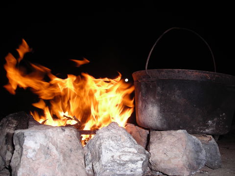 Rabbiters Hut - Maitland Accommodation 4