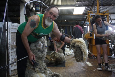 Rabbiters Hut - Maitland Accommodation 5