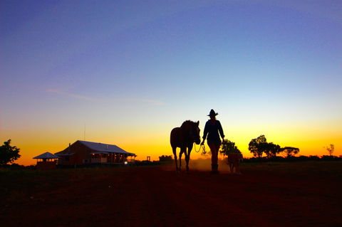 Shandonvale Station - Maitland Accommodation 0