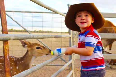 Shandonvale Station - Maitland Accommodation 5