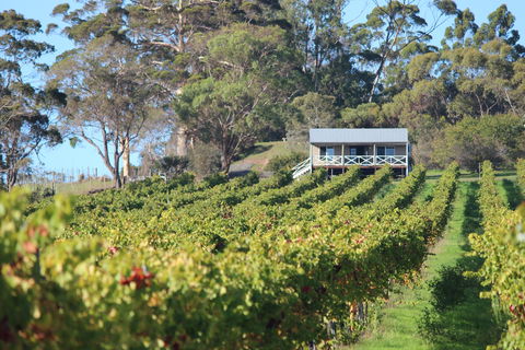 The Sleeping Lady Private Retreat - Maitland Accommodation 1