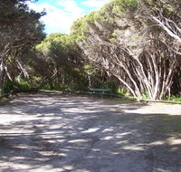 3 Mile Bend Campground - Beachport Conservation Park - Maitland Accommodation