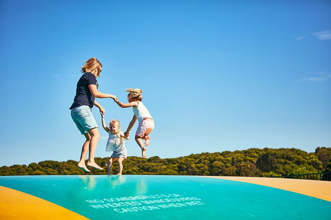 Anglesea Family Caravan Park - Maitland Accommodation 0