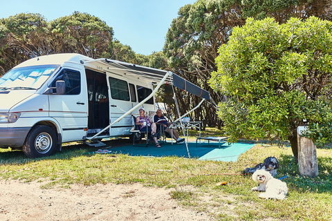 Anglesea Family Caravan Park - Maitland Accommodation 2