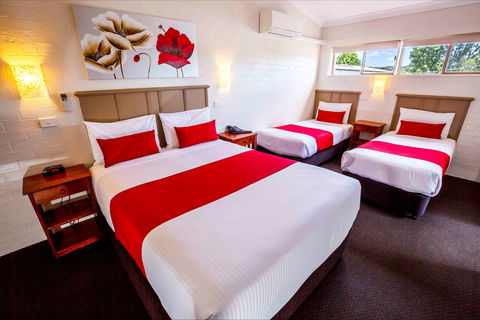 Apple And Grape Motel - Maitland Accommodation 0