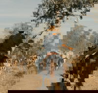 Bullo River Station - Maitland Accommodation