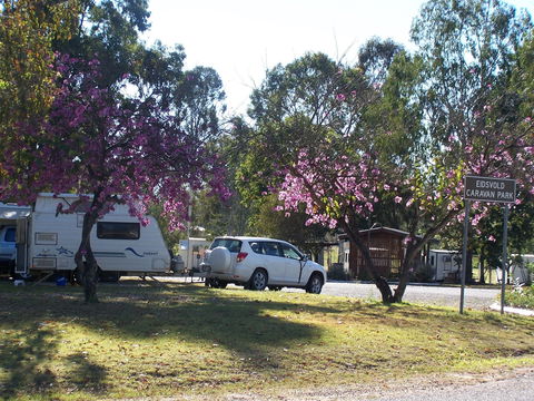 Eidsvold Caravan Park - Maitland Accommodation 0