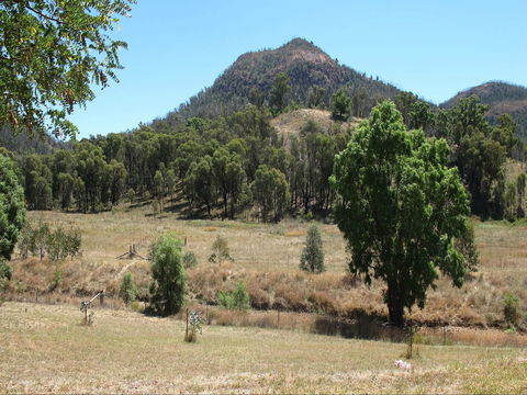 Mirrabook Cottage - Maitland Accommodation 2