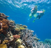 NRMA Cairns Holiday Park - Maitland Accommodation