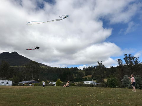 Quamby Corner Caravan Park - Maitland Accommodation 2