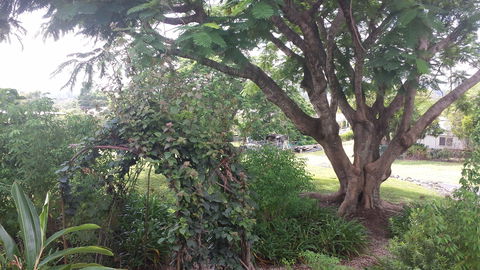 Rosehill Apartments - Maitland Accommodation 2