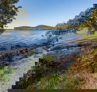 Tattersalls campground - Maitland Accommodation