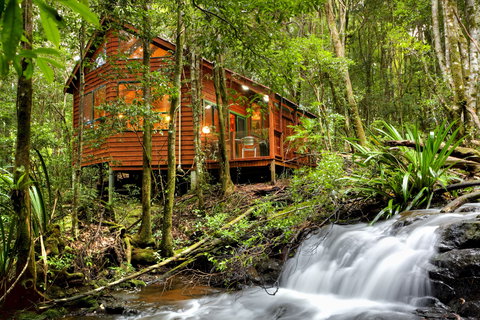 The Mouses House - Rainforest Retreat - Maitland Accommodation 0