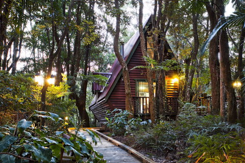 The Mouses House - Rainforest Retreat - Maitland Accommodation 2