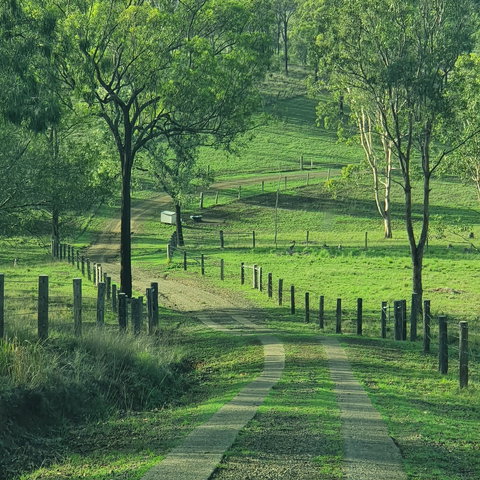 Vanbery Cottage Host Farm - Maitland Accommodation 2