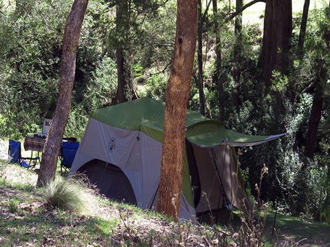 Abercrombie Caves Campground - Maitland Accommodation 0