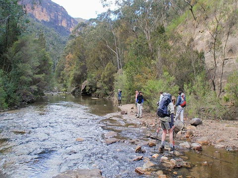 Acacia Flat Campground - Maitland Accommodation 0