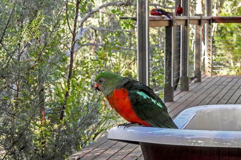 Araluen Park Cottages - Maitland Accommodation 2