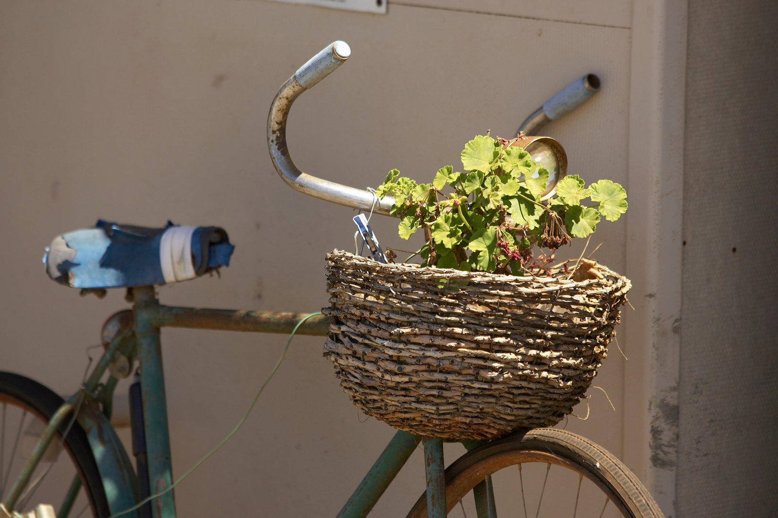 Hanwood NSW Maitland Accommodation