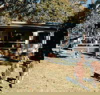 Depot Beach cabins - Maitland Accommodation