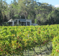 Just Red Wines Vineyard Cabins - Maitland Accommodation
