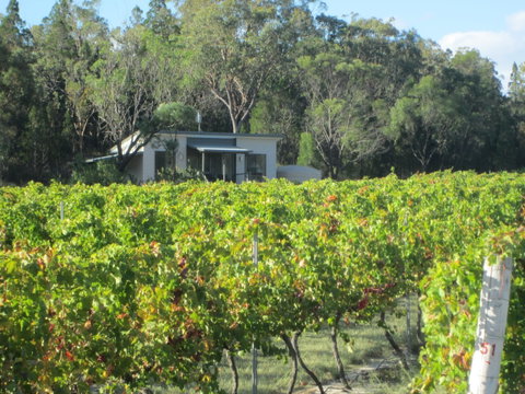 Just Red Wines Vineyard Cabins - Maitland Accommodation 0