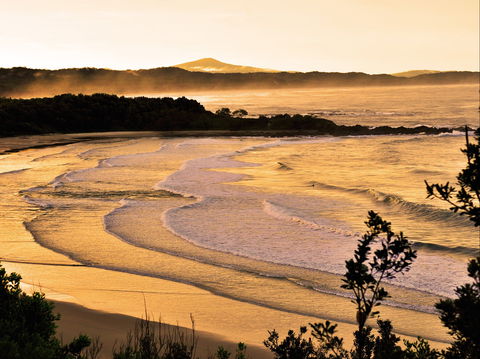 Minnie Water Holiday Park - Maitland Accommodation 1