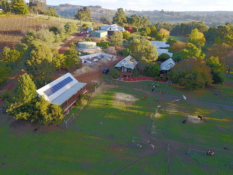 Sunnyhurst Chalets Farmstay - Maitland Accommodation 0