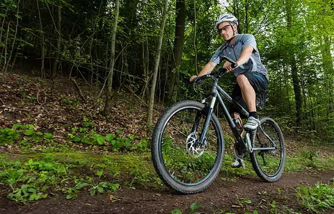 Aroundtu-It Eco Caravan Park - Maitland Accommodation 6