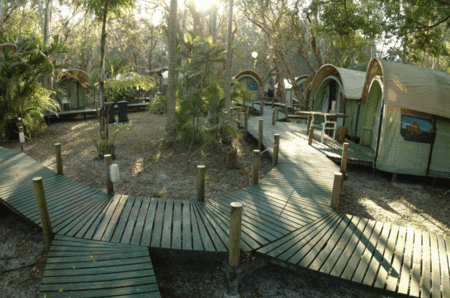 The Arts Factory Backpackers Lodge - Maitland Accommodation 0