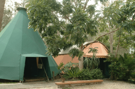 The Arts Factory Backpackers Lodge - thumb 1