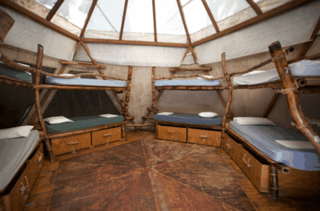 The Arts Factory Backpackers Lodge - Maitland Accommodation 2