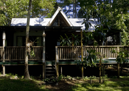 The Arts Factory Backpackers Lodge - thumb 4