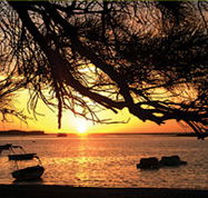Pelican's Nest - Maitland Accommodation