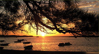 Pelican's Nest - Maitland Accommodation 0